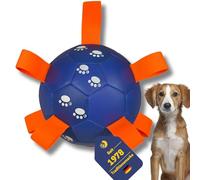 BEST SPORTING Heavy Duty Dog Ball with Loops - For Active Play, Pull & Chew (Blue)