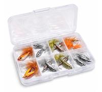 BestCity Epoxy Minnow Fly Fishing Flies - 16 Trout Flies in Free Clip Shut Fly Box - Realistic Streamer Lures #340
