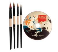 Beste Fountain Brush Set of 4 with DVD