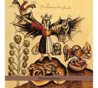 Bester Quartet - Metamorphoses