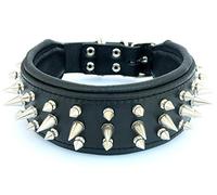 Bestia "Danger'' Real Leather Dog Collar with Screw Tips and Leather Inner Padding Passfit. Size Medium 42.5 to 50 cm Neck Circumference. 6.5 cm Wide