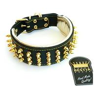 Bestia® "Gold Giant genuine leather studded big dogs collar. 2.5 inch wide. Soft padded. durable & comfortable. Handcrafted Pitbull. Cane corso. Rottweiler. Bully. Amstaff. Doberman