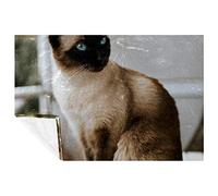 BestIdeas Siamese Cat Prints Soft Warm Cozy Blanket Throw for Bed Couch Sofa Picnic Camping Beach, 150 * 200cm