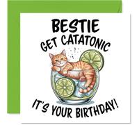 Bestie Birthday Card - Catatonic - Happy Birthday Card for Bestie from Best Friend Family, 145mm Cute Animal Design Bday Greeting Cards
