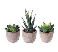 BESTOMZ 3pcs Decorative Faux Succulent Artificial Succulent Fake Simulation Plants with Pots