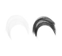 BESTOMZ Animal Whiskers Enhancing Playfulness 2 Packs Nylon Realistic for Needle Felting Projects, for Plush Animals for Needle Felting and Craft Presents