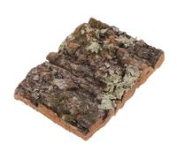 BESTOMZ Cork Bark Decor for Reptile Terrariums and Aquariums Natural Tree Bark for Fish Tank Decorations Indoor Plant Wall Covering