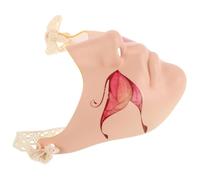 BESTOMZ Plastic Half Face Mask for Adults with Comfortable and Unisex Fit, Unique Decorative Design for Halloween and Masquerade Balls, Suitable for Men and Women Party Cosplay