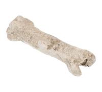 BESTOMZ Resin Bone Shaped Reptile Hideout Cave Small Pets Hiding Place Habitat Decor for Tortoise Turtle Tank