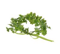 BESTOMZ Saint Patricks Day Headband Green Shamrock Crown Hair Accessory Plastic and Resin Material, Delicate and Lifelike Design for Event and Photo Prop Use