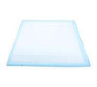 BESTOMZ Super Absorbent Disposable Puppy Training Pad 60x60cm Non-woven Material Dog Pee Mat for Indoor Dogs and Puppies to Keep House Clean and Tidy in Hotel Room or Going