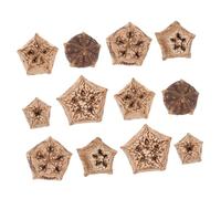 BESTonZON 12pcs Natural Parrot Chew for Birds Healthy Bird Biting Fruits Fun Foraging and Chewing for Parakeets Cockatiels Budgies Safe and Engaging Pet Accessories