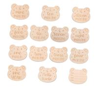 BESTonZON 14pcs Cards for Newborns Safe and Signs Unisex Monthly Discs for Celebrating Precious Moments for
