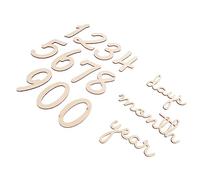 BESTonZON 14pcs Newborn Photoshoot Milestone Plaques Letter Decor Happy Birthday Signs The Sign Party Decor Prop DIY Decors Newborn Birth Announcement Photo Prop Growth Cards Wood