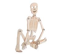 BESTonZON 1set Human Skeleton Model Assembly Kit for Education Diy Unfinished Human Skeleton Toy Interactive Learning Tool for Schools and Home Use