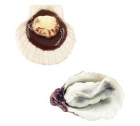 BESTonZON 2 Pack Realistic Seafood Models Fresh Oysters Scallop Props for Restaurant Display Photography and Home Dec