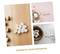 BESTonZON 25pcs Realistic Fake Bird Eggs for Parrots Plastic Artificial Nest Eggs Stable Hatching Props White Simulated Models for Bird Accessories
