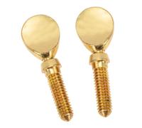 BESTonZON 2Pcs Copper Flute Head Screws Replacement Metal Flute Parts Sturdy Musical Instrument Accessories for Repairs and Maintenance
