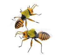 BESTonZON 2pcs Insect Toy Toys Bee Toys Girl Toys Children Toys Tots Toys Kid Toys Exploration Kit Boys Realistic Toys Science Experiment Early Education Toy Abs