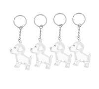 BESTonZON 4pcs Transparent Pet Hair Keepsake Keychain Secure Dog Hair Holder Charm for Bag Purse Memorial Accessory for Dog Lovers Bereavement Keepsake