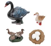 BESTonZON Black Swan Growth Cycle Model Educational Supplies for Learning Life Cycle Figurine Home Decoration and Teaching Utensils for Boys