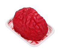 BESTonZON Brain Heart Props Halloween Party Supplies Halloween Organs Halloween Decor Human Brain Mold Brain Shaped Mold Body Halloween Brain Prop Simulation Organs Props Organ Props Plastic