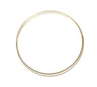 BESTonZON Brass Scale Line for Acoustic Guitar for Fretting Repairs and Upgrades Guitars