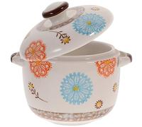 BESTonZON Ceramic Instant Noodle Bowl, Stew Bowl with Handles and Lid, Japanese Porcelain Ramen Bowl Set, Baking Tureen Cereal Ramen Pasta (450ML)