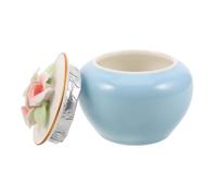 BESTonZON Ceramic Pet Urn with Guardian Wings Print Small Memorial Keepsake Jar for Dog and Cat Ashes Versatile Storage for Hair Teeth and Collars Elegant Blue Ceramic Cremation Box for