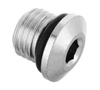 BESTonZON Chrome Plated Brass Diving Regulator Plug Screw Lightweight Corrosion Resistant Low Pressure Port Plug for Scuba Diving Regulators Easy Installation