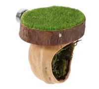 BESTonZON Magnetic Walnut Spider Shelter with Climbing Platform and Fence Natural Jumping Spider Hideout for Small Pets Like Geckos and Lizards Sunbathing Habitat Health and Security