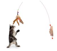 BESTonZON Metal Wire Cat Teaser with Bell Beads Interactive Pet for Kittens Indoor Play Stimulates Hunting Instincts and Encourages Healthy Exercise Random Color
