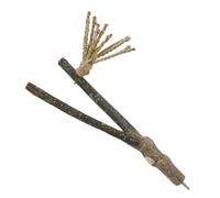 BESTonZON Natural Parrot Tree Branch Stand Chewing Toy Bird Perch with Watergrass Rope 1.5-2.5cm Diameter 25cm Length Boredom Relieve Claw Grinding Accessory for Parakeets and Small Birds