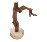 BESTonZON Natural Wooden Parrot Training Stand with Stable Base Durable Bird Perch for Cockatiels Parakeets and Birds Multifunctional Indoor Play and Training Platform