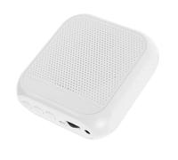 BESTonZON Portable Rechargeable Voice Amplifier Easy to Carry and Simple to Set up with Microphone Plastic Speaker for Teachers for Classroom and Training Use