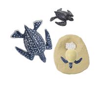 BESTonZON Realistic Cycle Model Educational Animal Figurine for Cognitive Learning and Natural Science Exploration