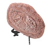 BESTonZON Resin Dinosaur Specimen Ornament Simulated Paleontology Fossil Decor for Reptile Tank Lightweight Landscape Decoration for Teaching Collecting and Home Use