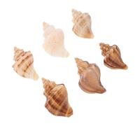 BESTonZON Seashells for Crabs 6pcs Conch Shells As Aquarium Decor Home Party Accessory Ocean-themed