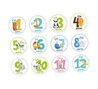 BESTonZON Sets Monthly Milestone Milestone Stickers Month Decals Fun Decor for Parties Pieces
