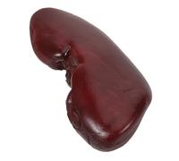 BESTonZON Simulated Pig Waist Halloween Decor Tricks Kidney Prop Halloween Cosplay Accessory Haunted House Decoration Tricks Kidney Stage Performance Scary Fake Body Parts Pu