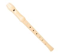 BESTonZON Soprano Recorder for Beginners and Students Simple Wind Musical Instrument for Classroom Practice and Boy Girl