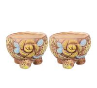 BESTonZON Succulent Bonsai Pot Hand Painted 2pcs Ceramic for Cactus Desktop