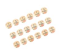 BESTonZON Wooden Milestone Signs for Milestone Wooden Cards Photo Props 18pcs Set