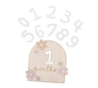 BESTonZON Wooden Monthly Milestone Signs Double-Sided Daisy Flower Announcement Cards Newborn Photo Props Growth Record Keepsake for Shower and Monthly Documentation