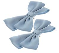 BESTOYARD 2pcs Blue Ribbon Bow Shoe Clips Decorative and Detachable Cloth and Alloy Shoe Charms for Hats and Handbags, for Graduation and Prom Evening Party Accessories