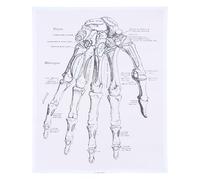 BESTOYARD Human Hand Chart Poster Anatomy Teaching Chart on Chemical Fiber Canvas, Easy to Read Showing Internal Structure, for Classroom and Laboratory Wall Decoration