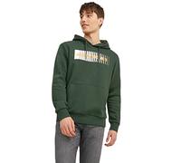 Bestseller A/S Men's Jjecorp Logo Sweat Hood Play Noos Sweatshirt, Mountain View, M