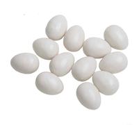 Besttoolifes 12Pcs White Plastic Simulated Pigeon Eggs, Realistic Fake Eggs For Pigeon Hatching And Training, Lasting Reusable Bird Breeding Accessories