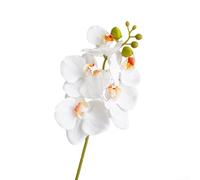 Besttoolifes 5-Pack 18" Artificial Phalaenopsis Flowers White, Light for PINK, Orange Artificial Orchid Flowers Stem Plants For Home Decor(White)