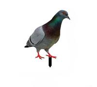 Besttoolifes Garden Pigeon Statue, Weatherproof Acrylic Wild Bird Sculpture, Outdoor Yard Decor, Farm-Themed Ornament, Wildlife Figurine For Lawn Patio(A)